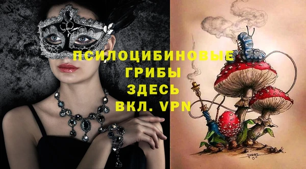 spice Михайловка