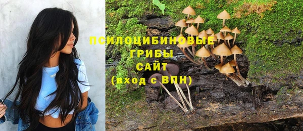мет Мегион