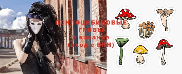 стафф Михайлов