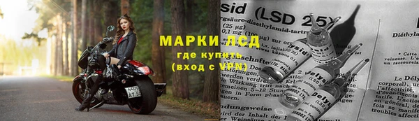 соль ск Медвежьегорск