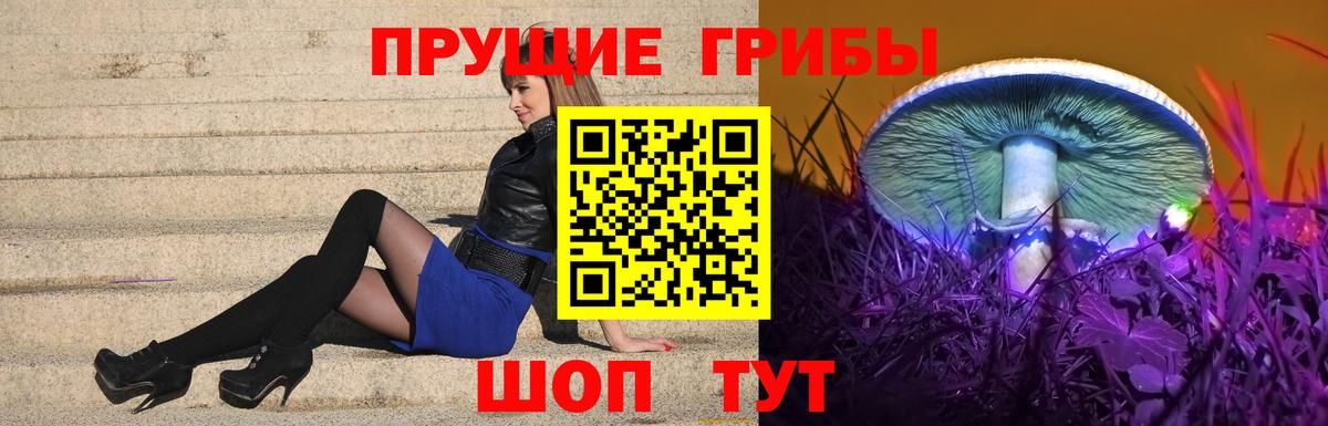 Псилоцибиновые грибы ЛСД Нововоронеж